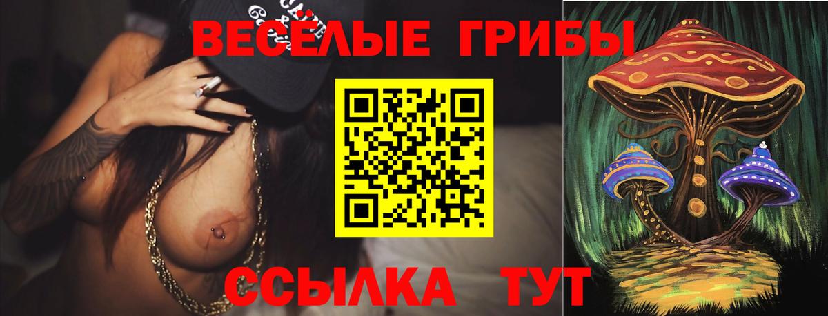 Морозовск  Псилоцибиновые грибы Psilocybe  Вход с VPN 